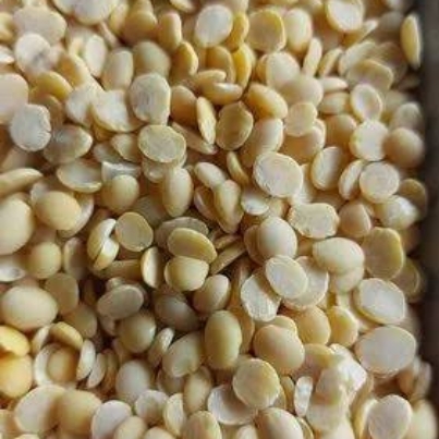 WhatsApp Image 2026-02-27 at 8.01.55 PM