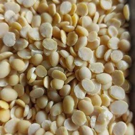 WhatsApp Image 2026-02-27 at 8.01.55 PM