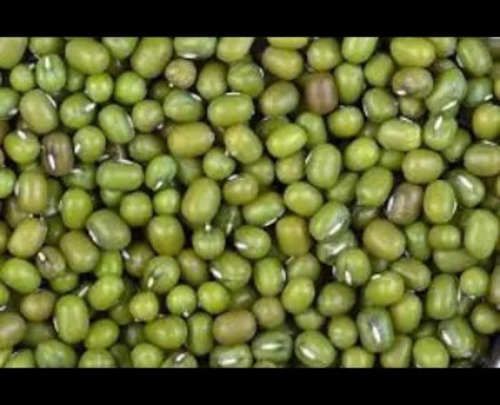 WhatsApp Image 2026-02-27 at 8.09.11 PM