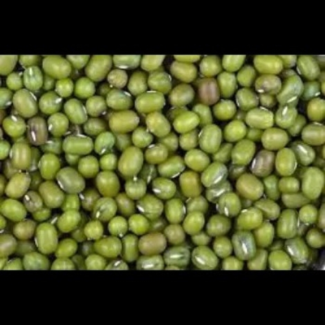 WhatsApp Image 2026-02-27 at 8.09.11 PM