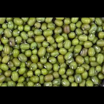 Deshi/Gavthi Akkhi Moog